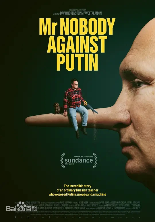 反对普京的无名先生 Mr. Nobody Against Putin (2025)